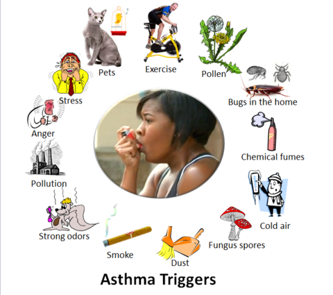 Person using inhaler surrounded by icons illustrating common asthma triggers